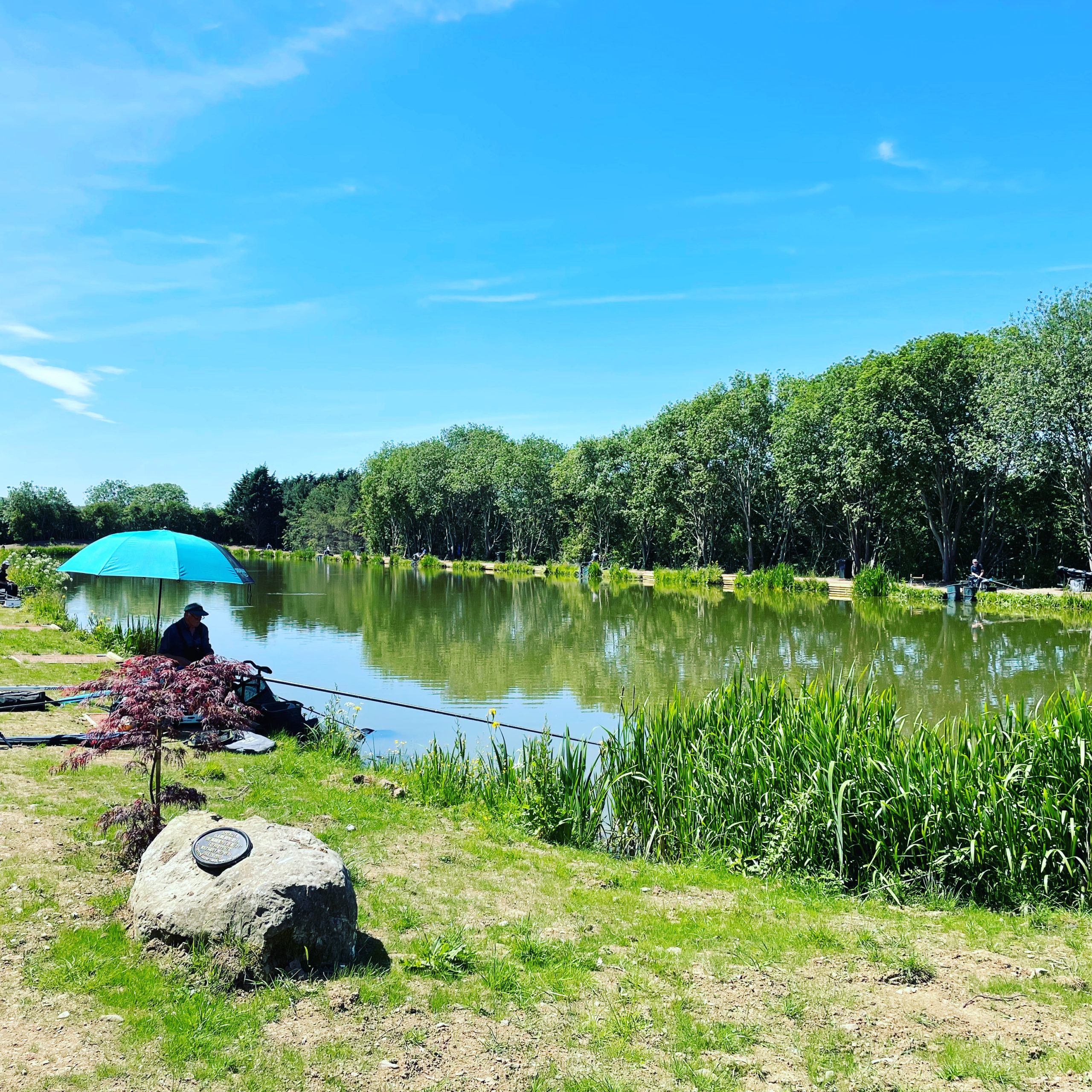 Fishing Matches at Spring Lea Fishery | Fishing Lakes in Shropshire